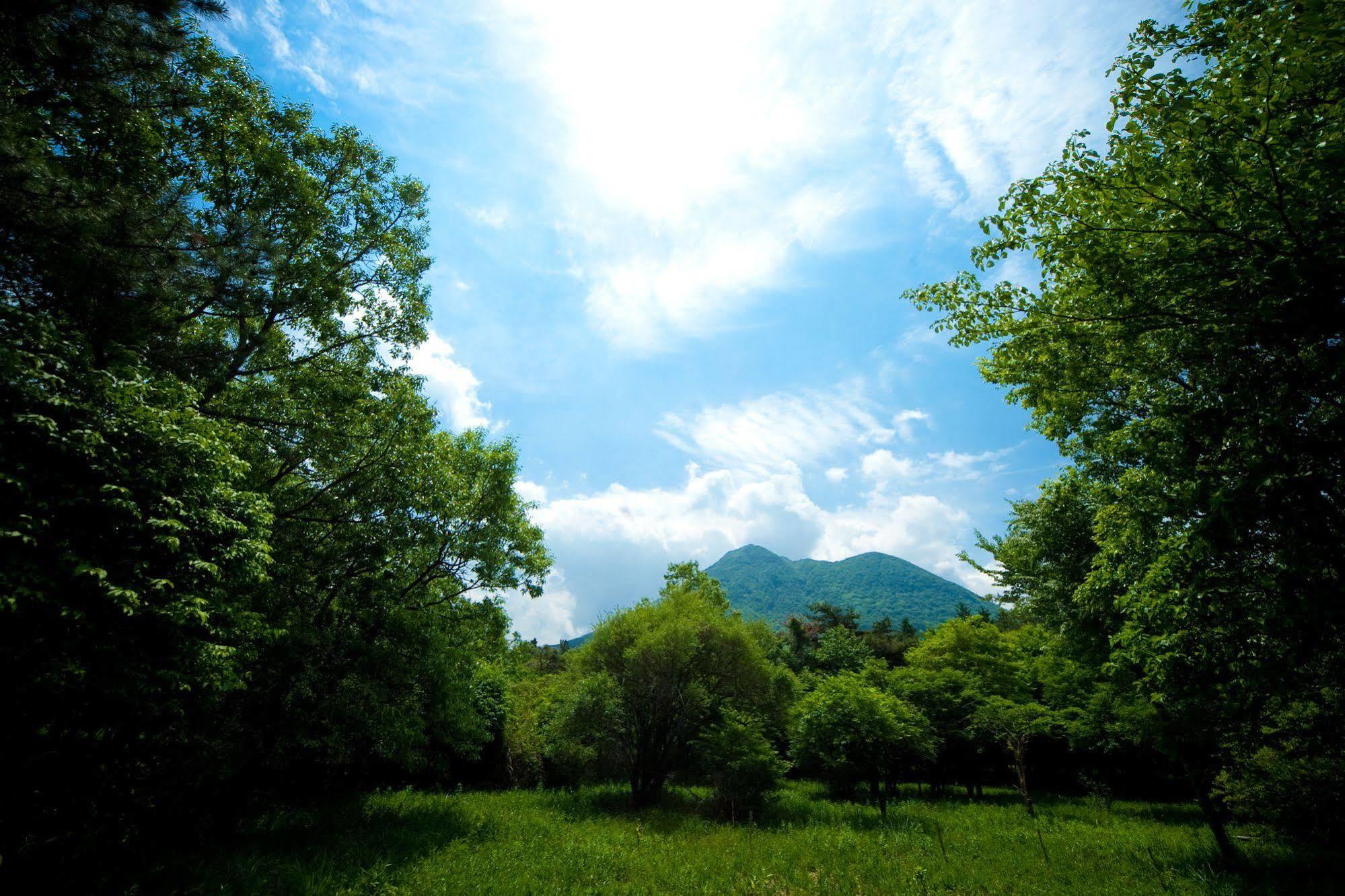 Yufuin Tsukahara Kogen Sanso Donguri 호텔 외부 사진